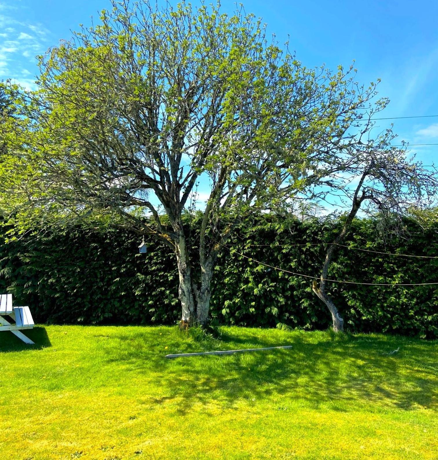 26 Green Drive Inverness Inshes Luaran gambar